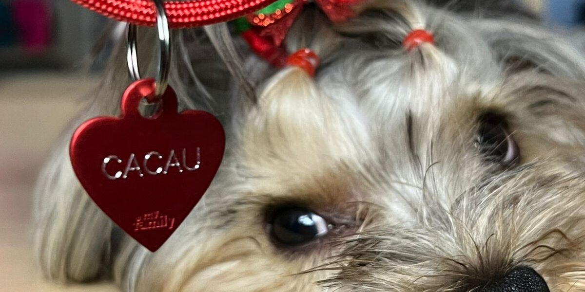 Cacau Medalha Vermelha