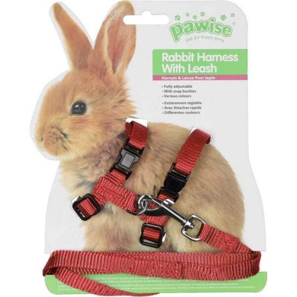 Coleira Peitoral Ajustáve para Coelhos e Porquinho da Ìndia - Image 2