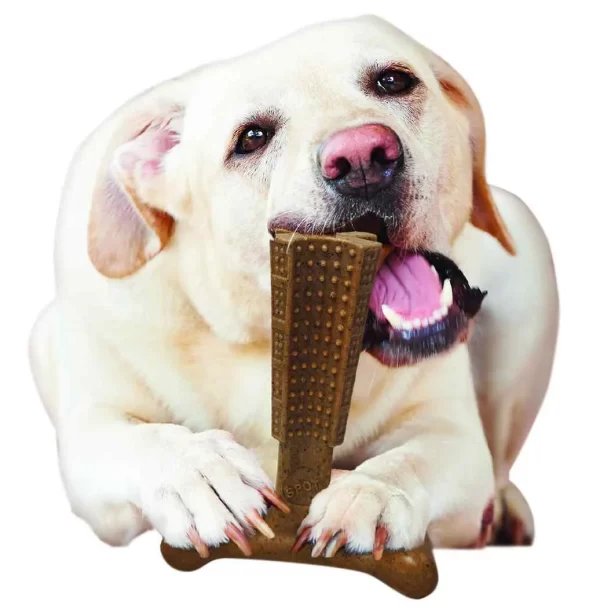 Kit Dentinhos Nervosos para Pets De Mordida Forte - Image 6